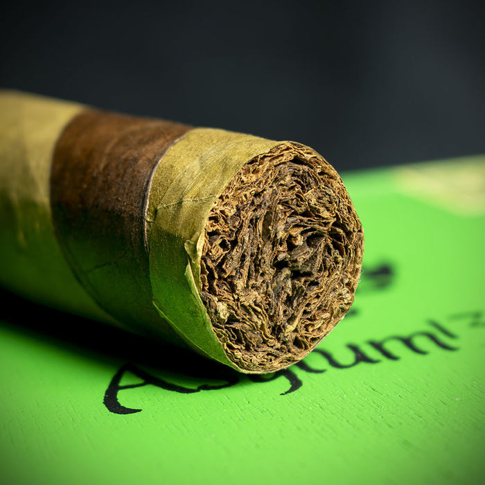 Asylum 13 Ogre Nicaragua Gordo Cigar