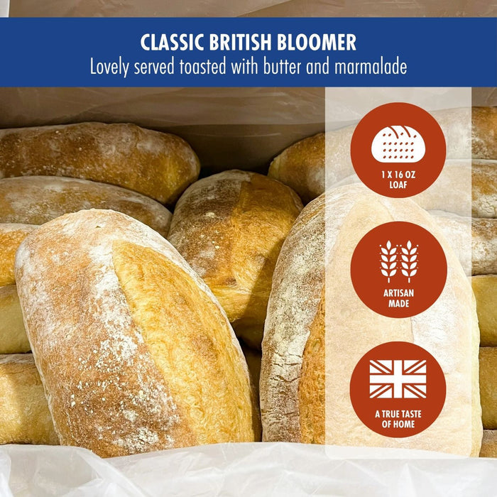 Classic British Bloomer