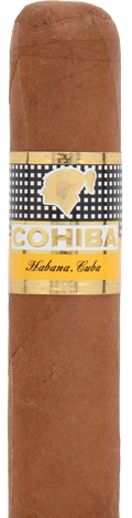 Cohiba Robustos Cuban Cigar - Single