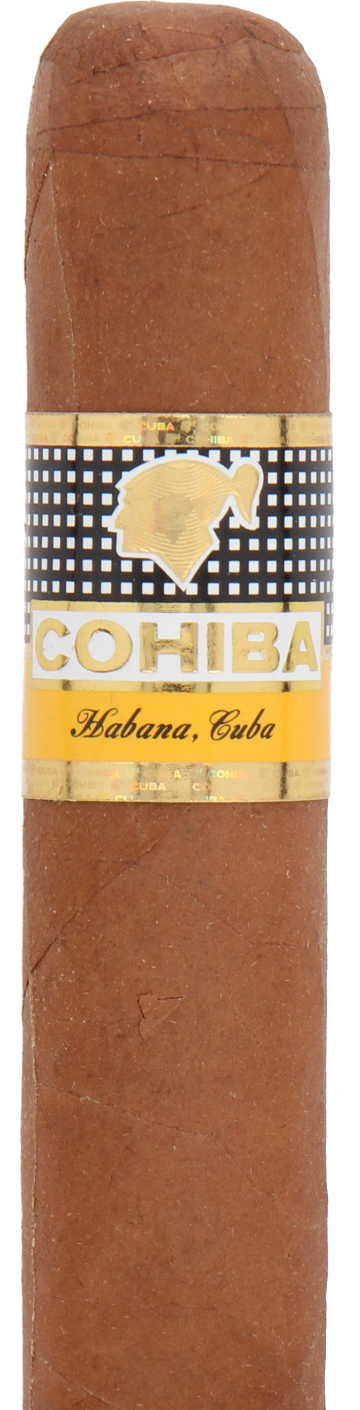 Cohiba Robustos Cuban Cigar - Single