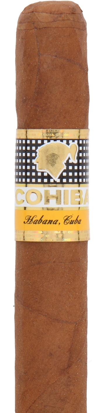 Cohiba Siglo II Cuban Cigar - Single