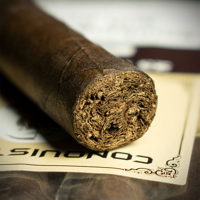 Conquistador Petit Corona Maduro Cigar - Single