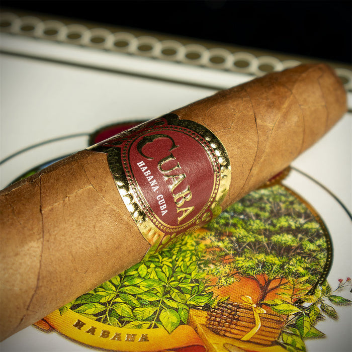 Cuaba Divinos Cuban Cigar - Single