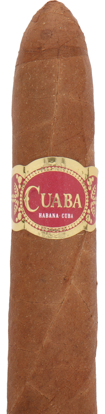 Cuaba Salomones Cuban Cigar - Single