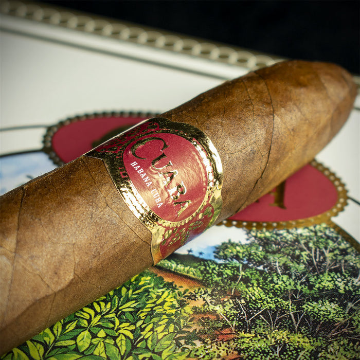 Cuaba Salomones Cuban Cigar - Single
