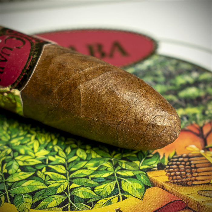 Cuaba Salomones Cuban Cigar - Single