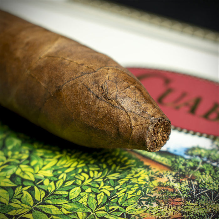Cuaba Salomones Cuban Cigar - Single
