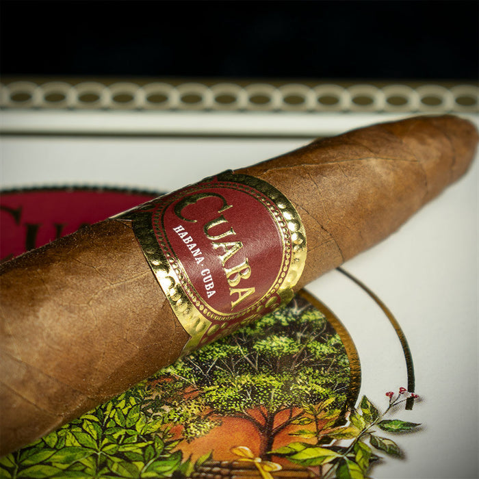 Cuaba Tradicionales Cuban Cigar - Single