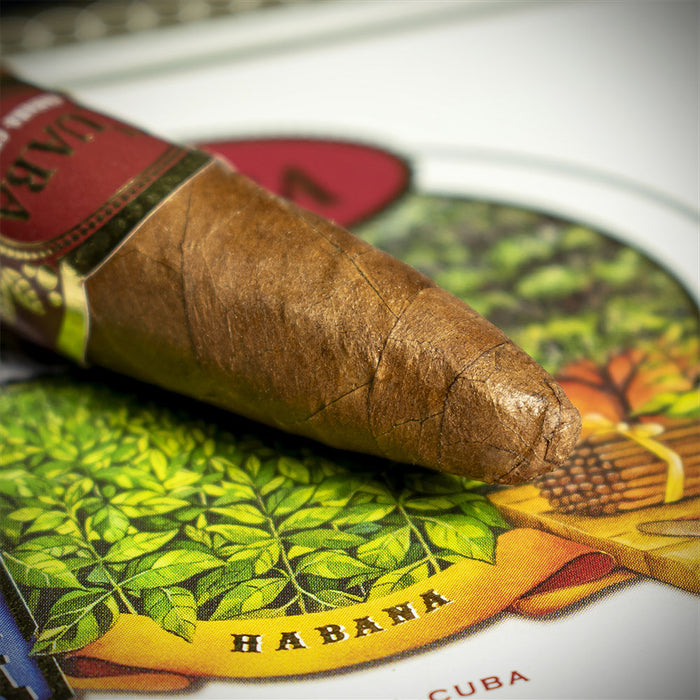 Cuaba Tradicionales Cuban Cigar - Single