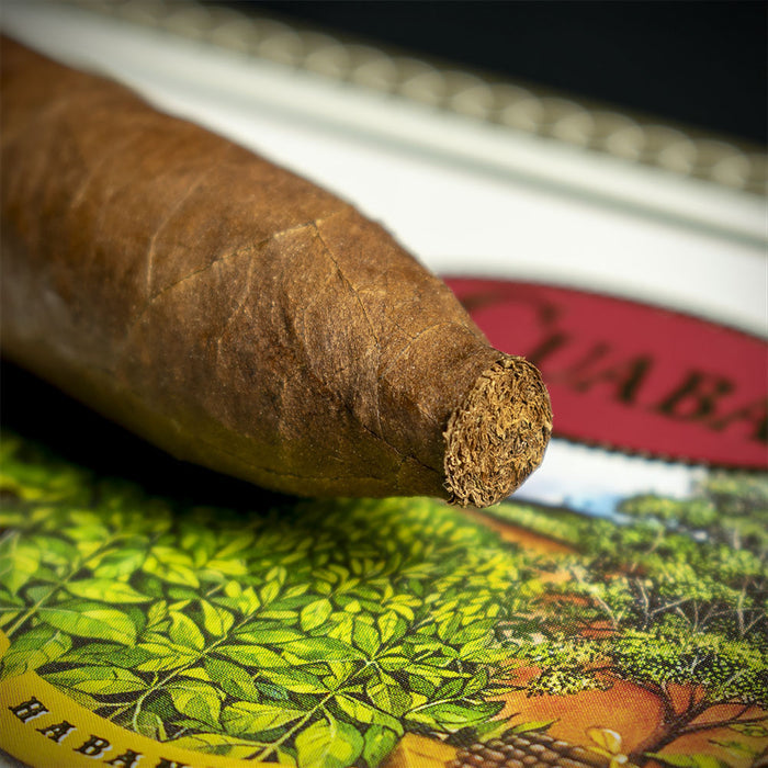 Cuaba Tradicionales Cuban Cigar - Single