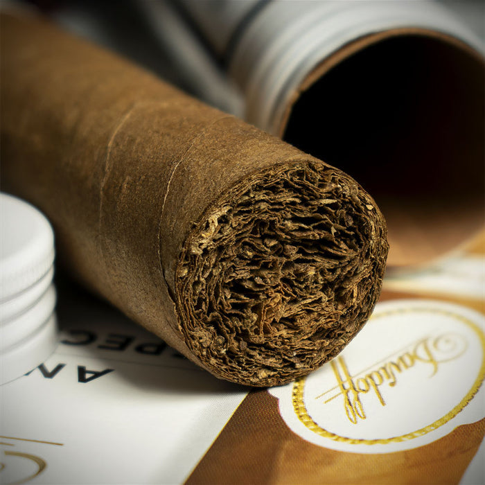Davidoff Aniversario Series Special R. Tubos Cigars - Pack of 3