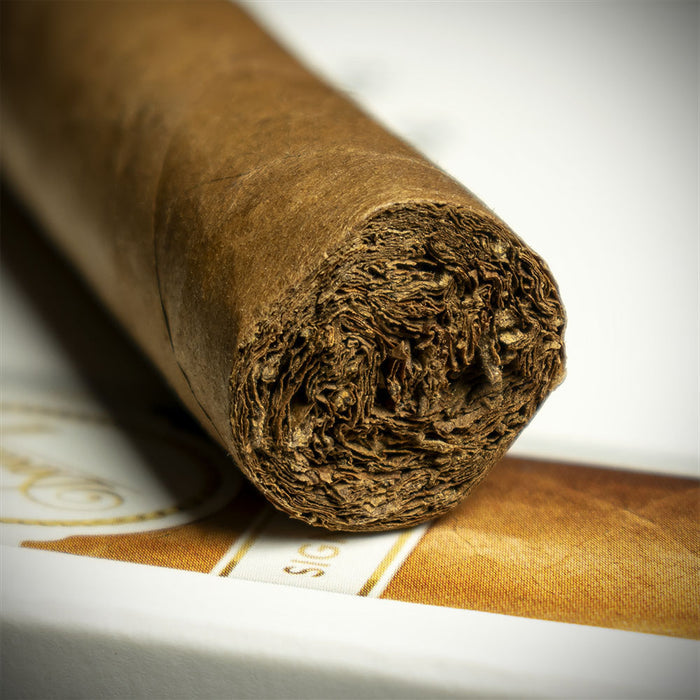 Davidoff Signature 2000 Cigars - Pack of 5