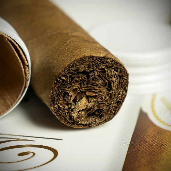Davidoff Signature No. 2 Tubos Cigar - Single
