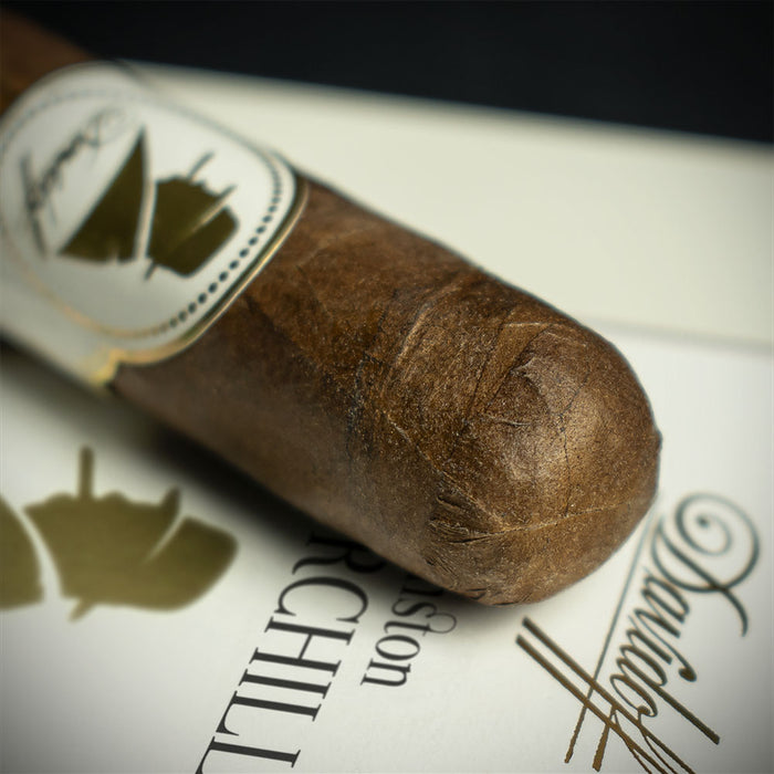 Davidoff Winston Churchill Artist Petit Corona Cigar - Single