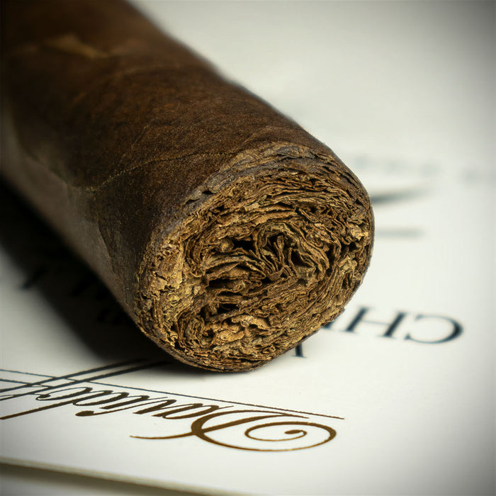 Davidoff Winston Churchill Artist Petit Corona Cigar - Single