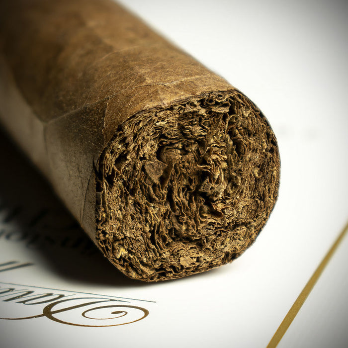 Davidoff Winston Churchill Statesman Robusto Cigar - Single