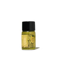 Everyday Collection | Festival Grove 10ml Ink - Ferris Wheel Press