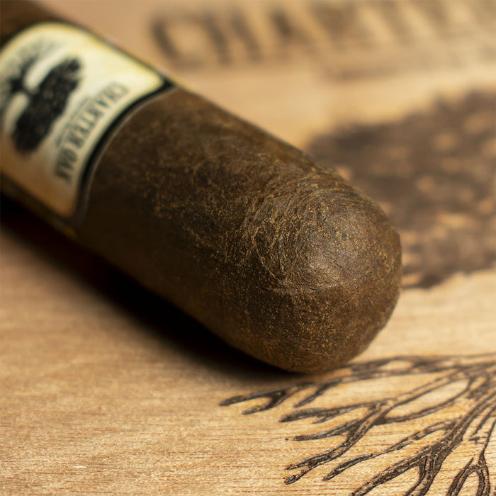 Foundation Cigars Charter Oak Connecticut Broadleaf Toro Cigar - Single