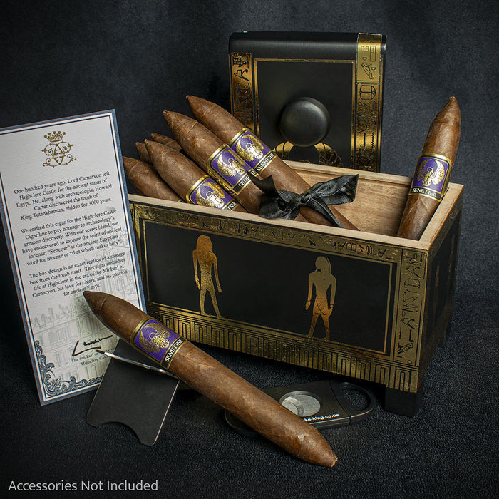 Foundation Cigars Highclere Castle Senetjer  – Single