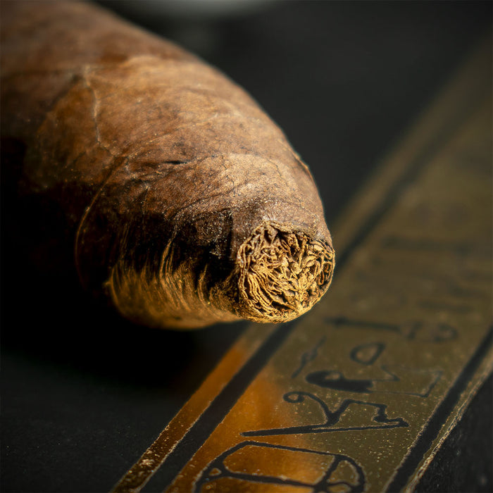 Foundation Cigars Highclere Castle Senetjer Cigar - Single