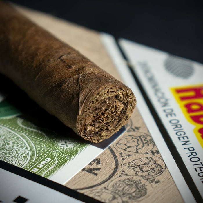 Hoyo de Monterrey Le Hoyo Du Maire Cuban Cigar
