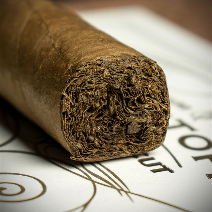 Kristoff Connecticut Robusto Cigar - Single