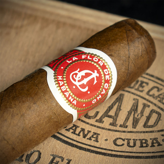 La Flor de Cano Elegidos Cuban Cigar - Single