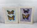 Lot of 2 William Howe Butterfly Prints *Signed and Numbered*