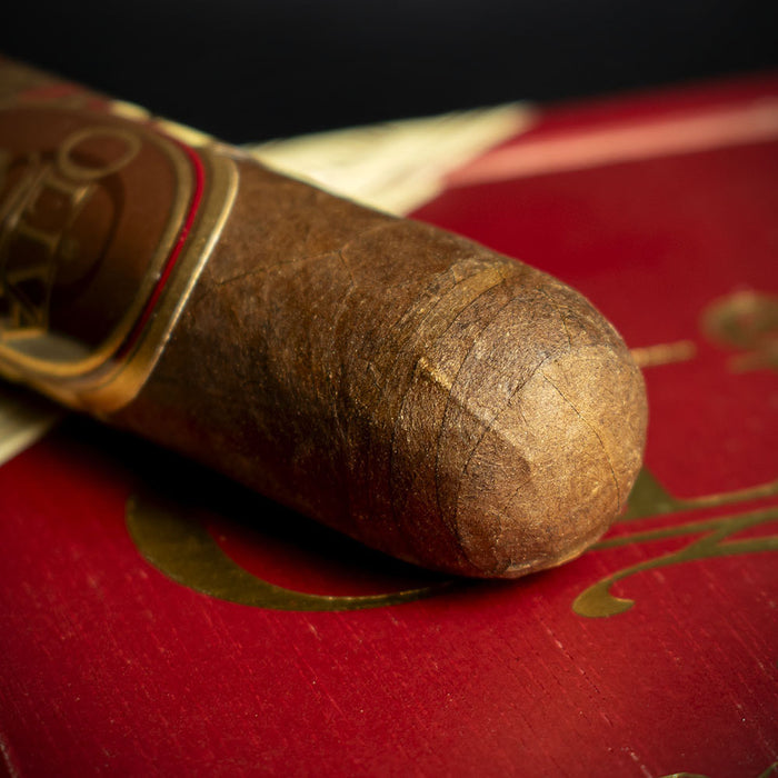 Oliva Serie V Double Robusto Cigar - Single