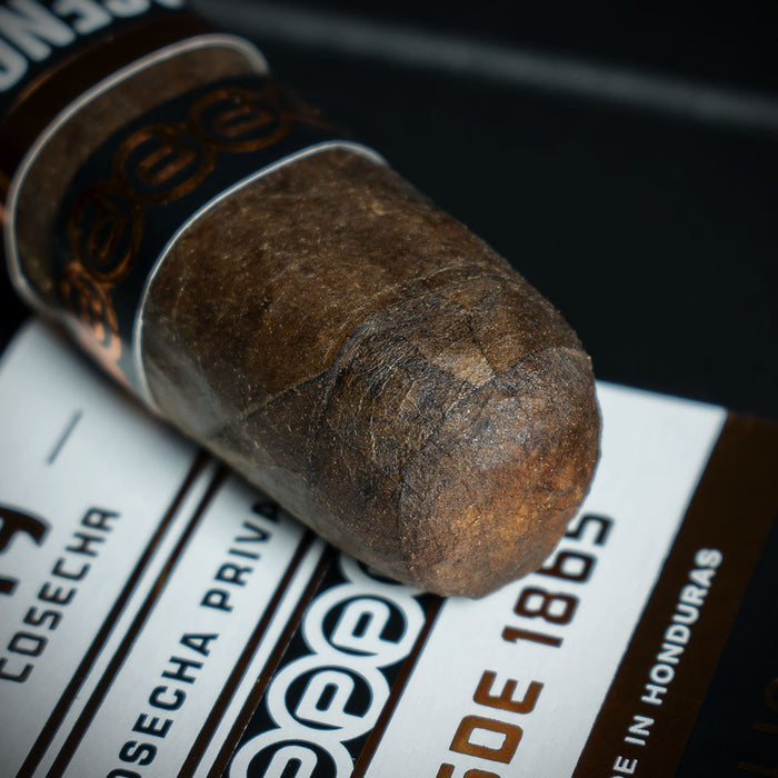 Plasencia Cosecha 149 La Vega Robusto Cigars - Box of 10