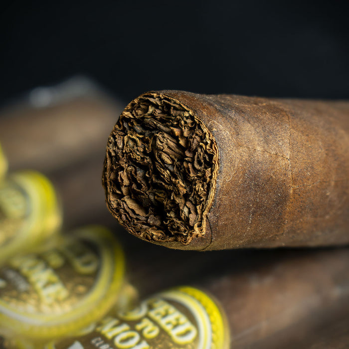 Rocky Patel Seed to Smoke Classic Maduro Toro Cigar – Single