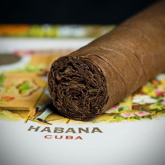 Romeo y Julieta Petit Coronas Cuban Cigar